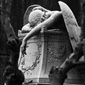 Meet your Posher, Angel